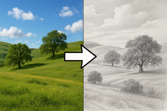 Create a half photo half realistic pencil drawing of a landscape with an arrow starting on the photo pointing to the drawing 